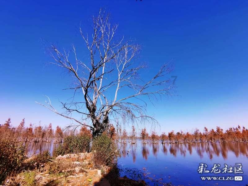 “我的铅笔和你的铅笔哪枝长?”是特殊疑问句还是选择疑问句?-有问必答平台